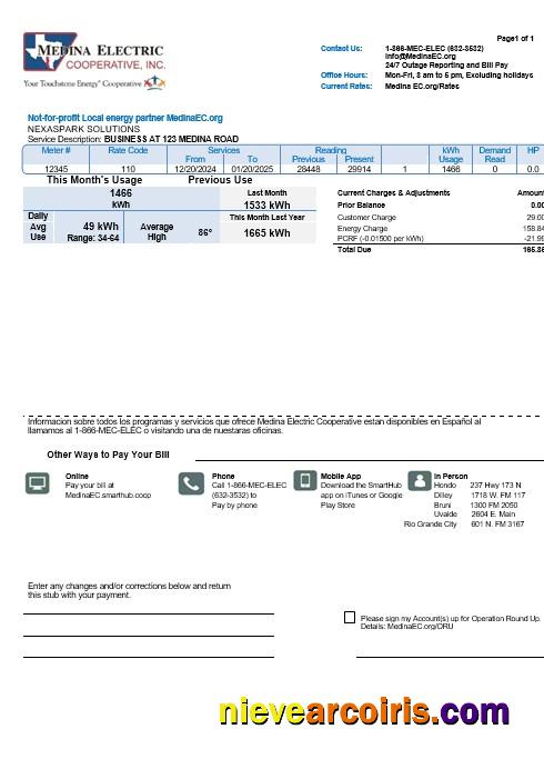 USA Texas Medina Electric business utility bill